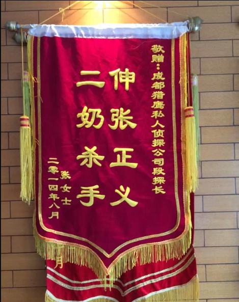 三亚反腐调查